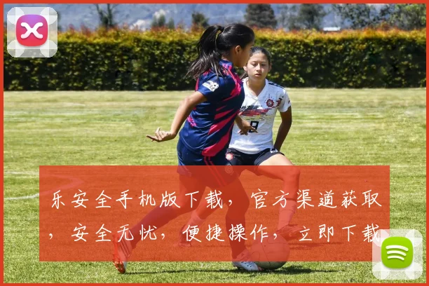 乐安全手机版下载，官方渠道获取，安全无忧，便捷操作，立即下载体验
