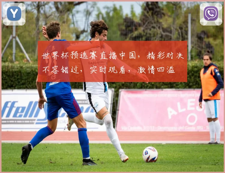 世界杯预选赛直播中国，精彩对决不容错过，实时观看，激情四溢