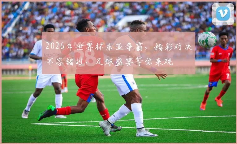 2026年世界杯东亚争霸，精彩对决不容错过，足球盛宴等你来观